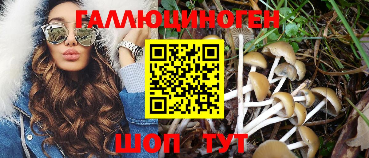 Псилоцибиновые грибы Magic Shrooms Заволжье