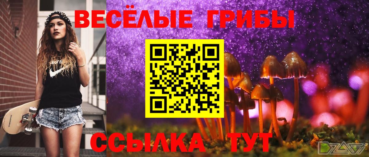 Псилоцибиновые грибы Magic Shrooms  Галлюциногенные грибы Magic Shrooms  Вход с VPN  как найти закладки  Заволжье 